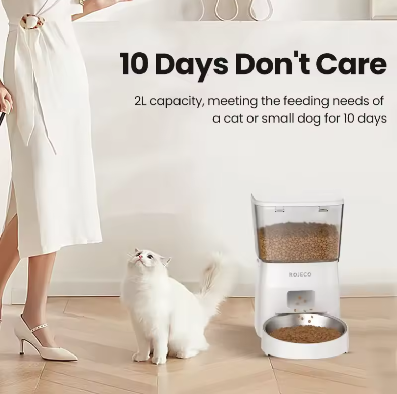 Automatic Cat Feeder