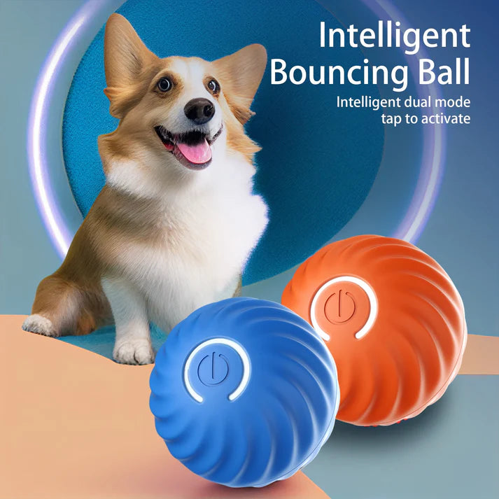 Smart LED bouncing pet ball