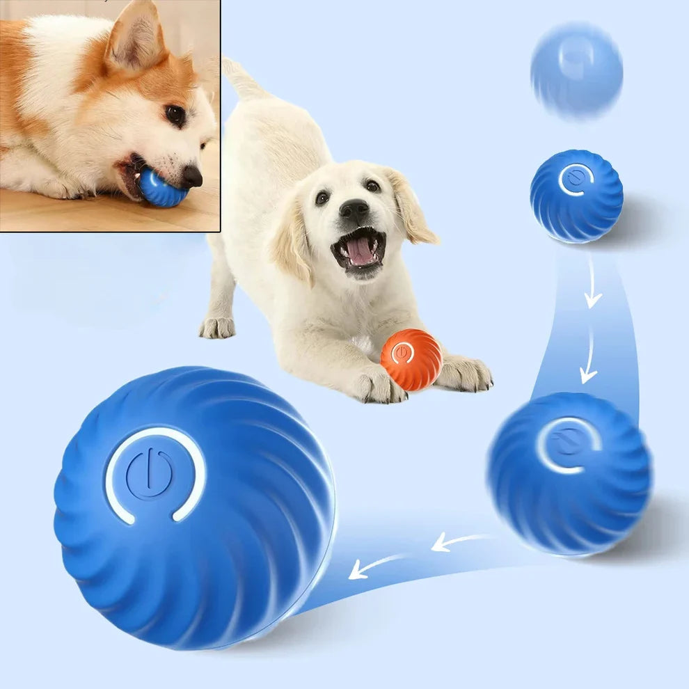 Smart LED bouncing pet ball