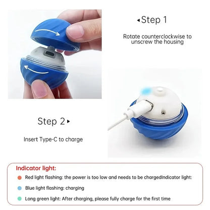 Smart LED bouncing pet ball