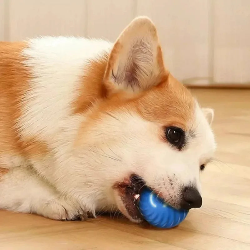 Smart LED bouncing pet ball