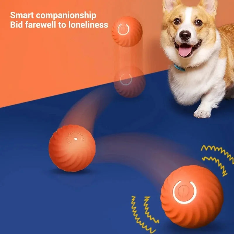 Smart LED bouncing pet ball