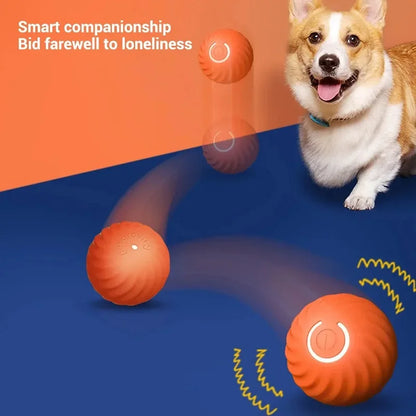Smart LED bouncing pet ball