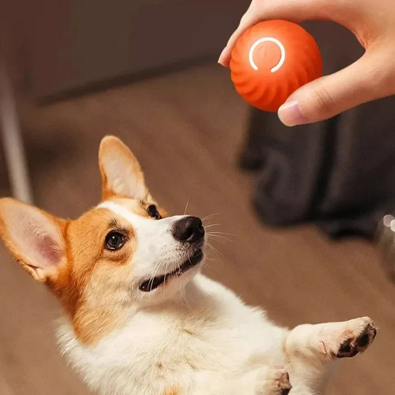 Smart LED bouncing pet ball