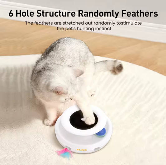 Automatic feather fun ball toy