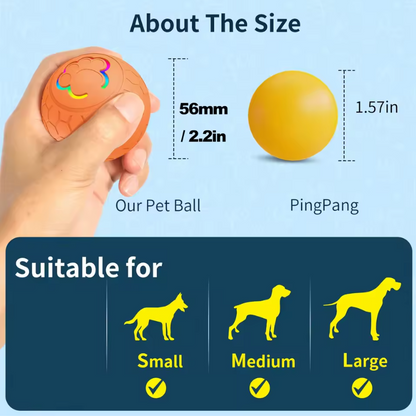 Smart LED bouncing pet ball